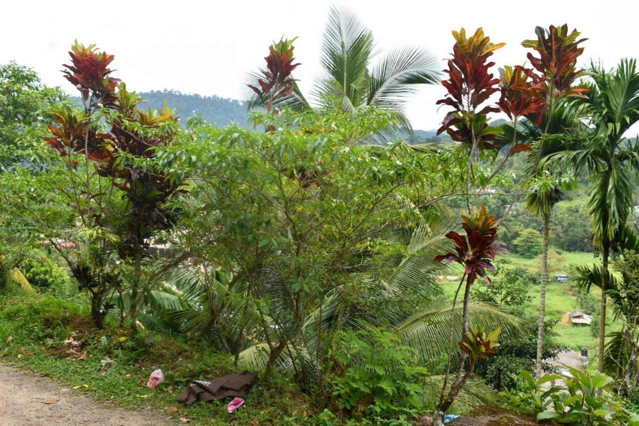 Hotel Rathna Gems Halt Ratnapura Exteriér fotografie